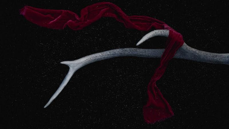 Why Your CV Keeps Getting Rejected in South Africa (2026 Guide for Graduates)